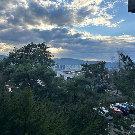 Lovely Room, 15 Min From Center, Mountain View 苏黎世 外观 照片