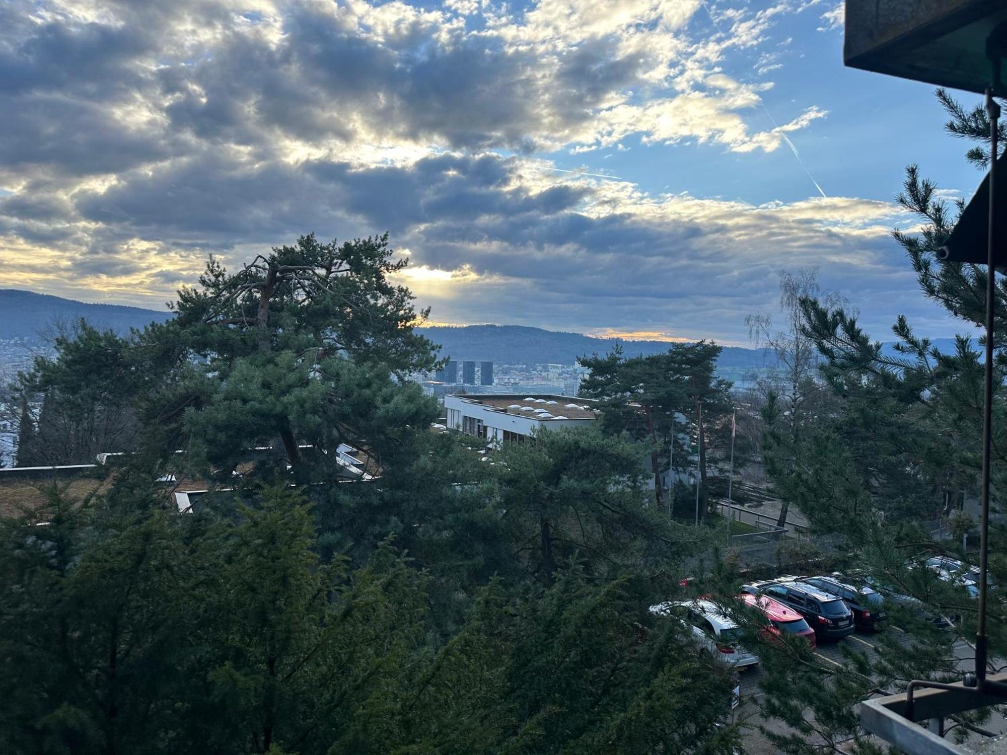 Lovely Room, 15 Min From Center, Mountain View 苏黎世 外观 照片