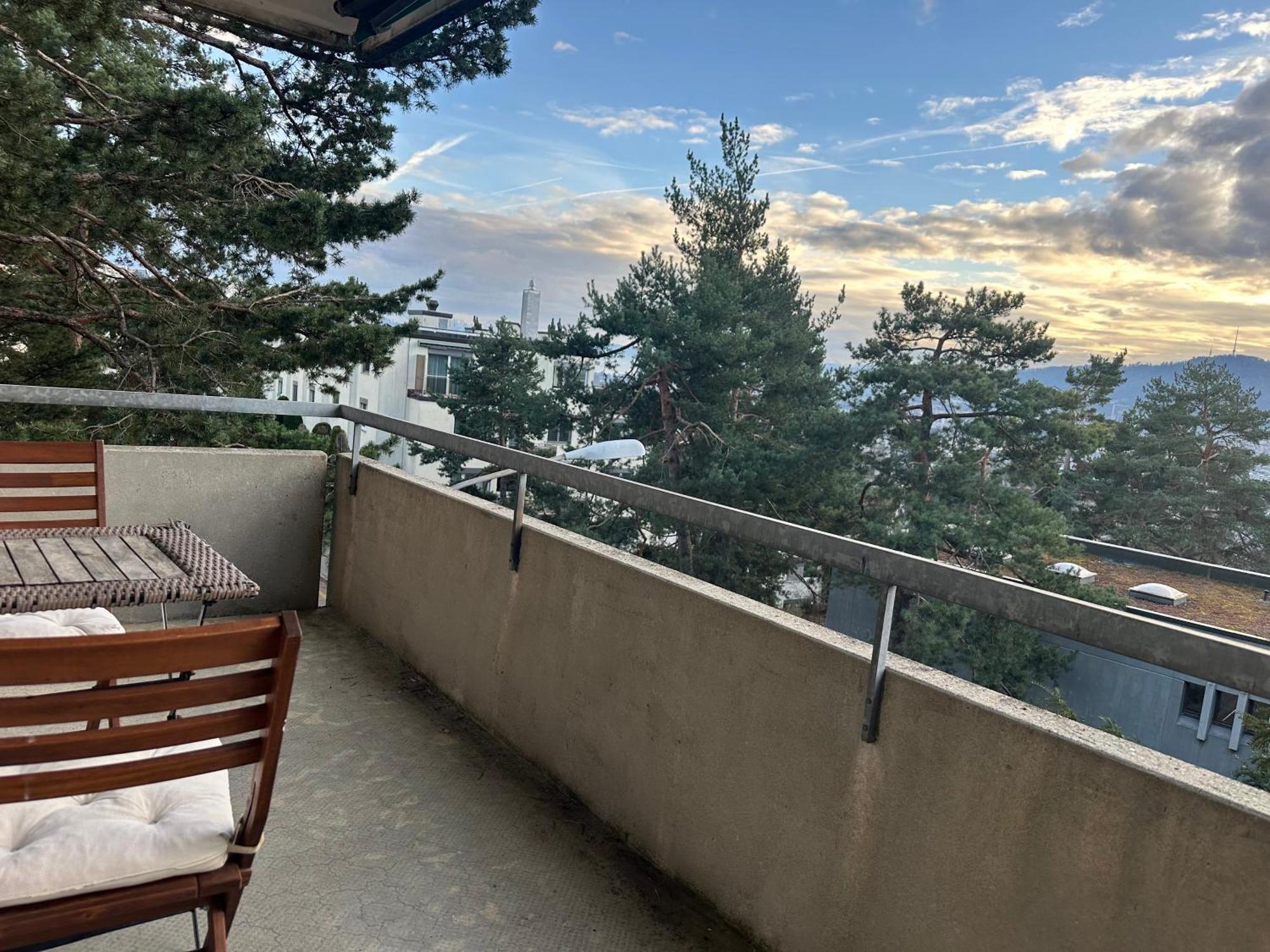 Lovely Room, 15 Min From Center, Mountain View 苏黎世 外观 照片