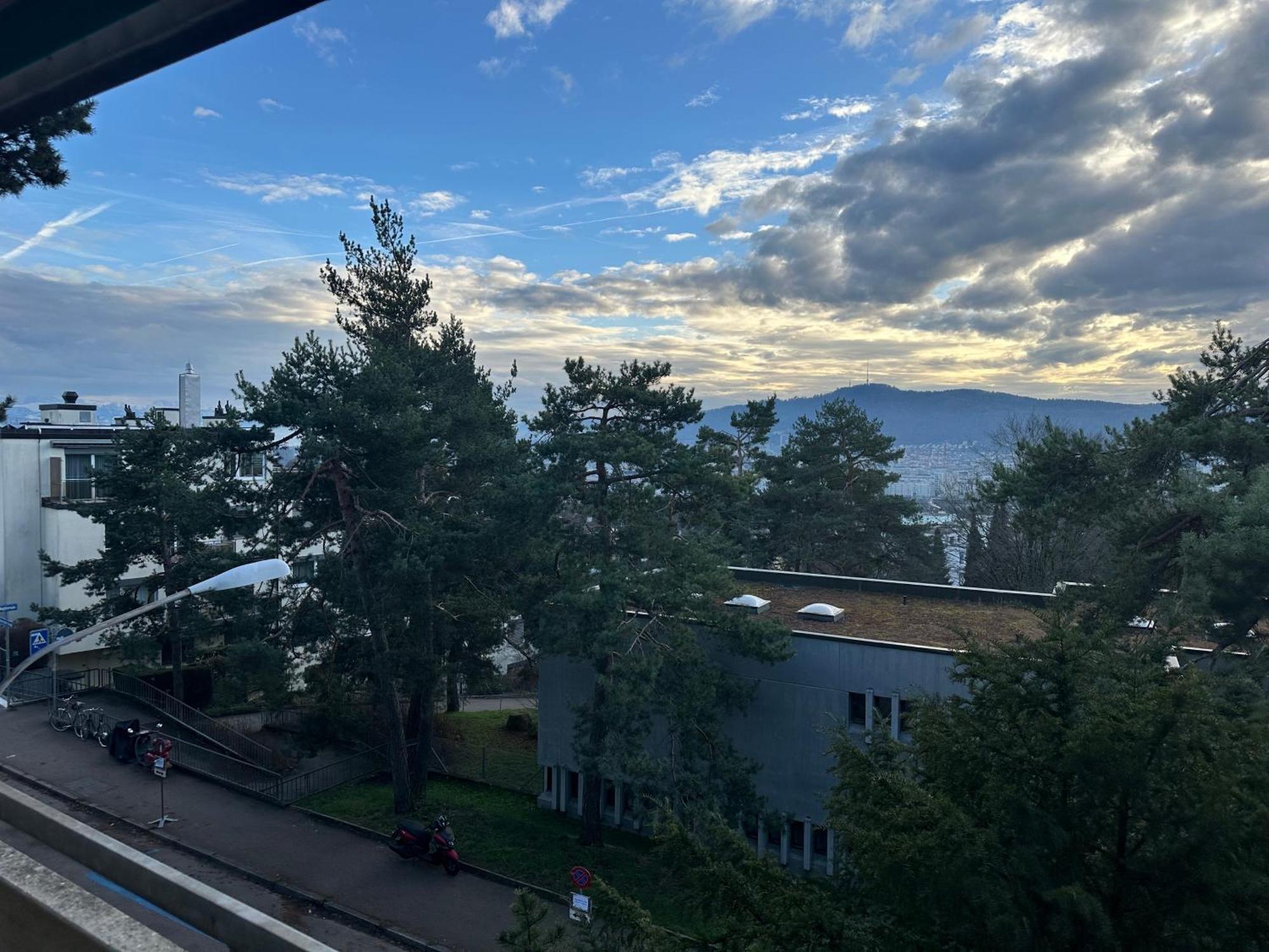 Lovely Room, 15 Min From Center, Mountain View 苏黎世 外观 照片