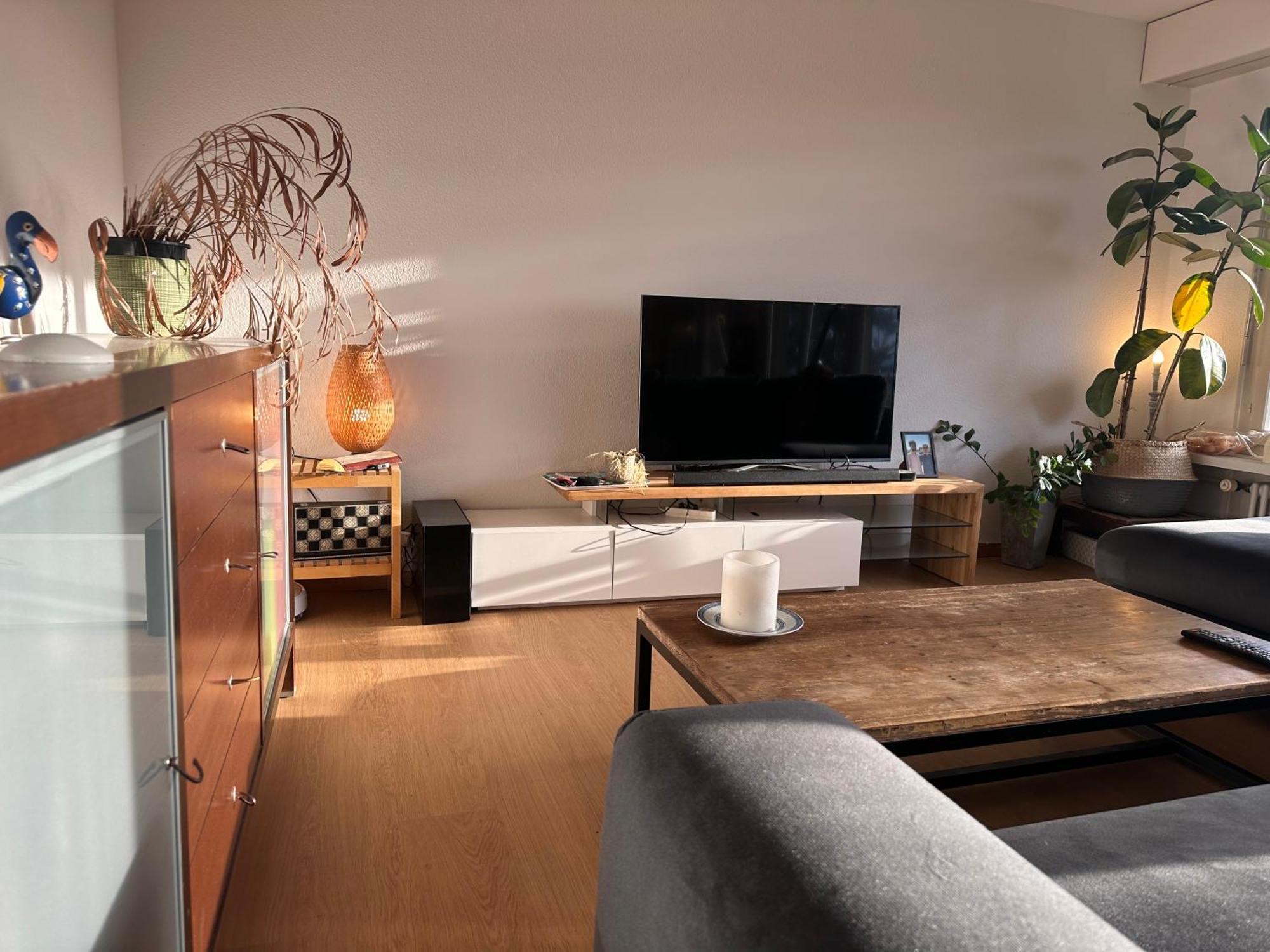 Lovely Room, 15 Min From Center, Mountain View 苏黎世 外观 照片