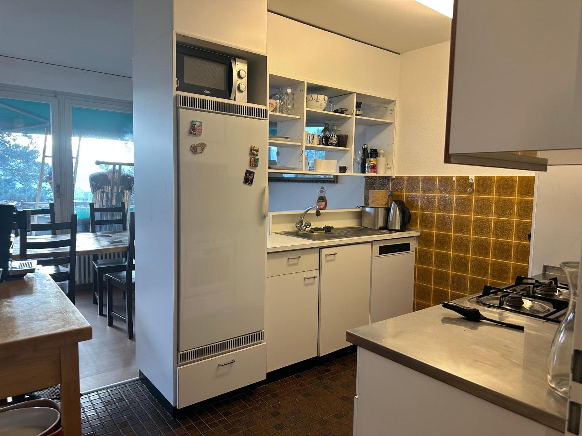 Lovely Room, 15 Min From Center, Mountain View 苏黎世 外观 照片