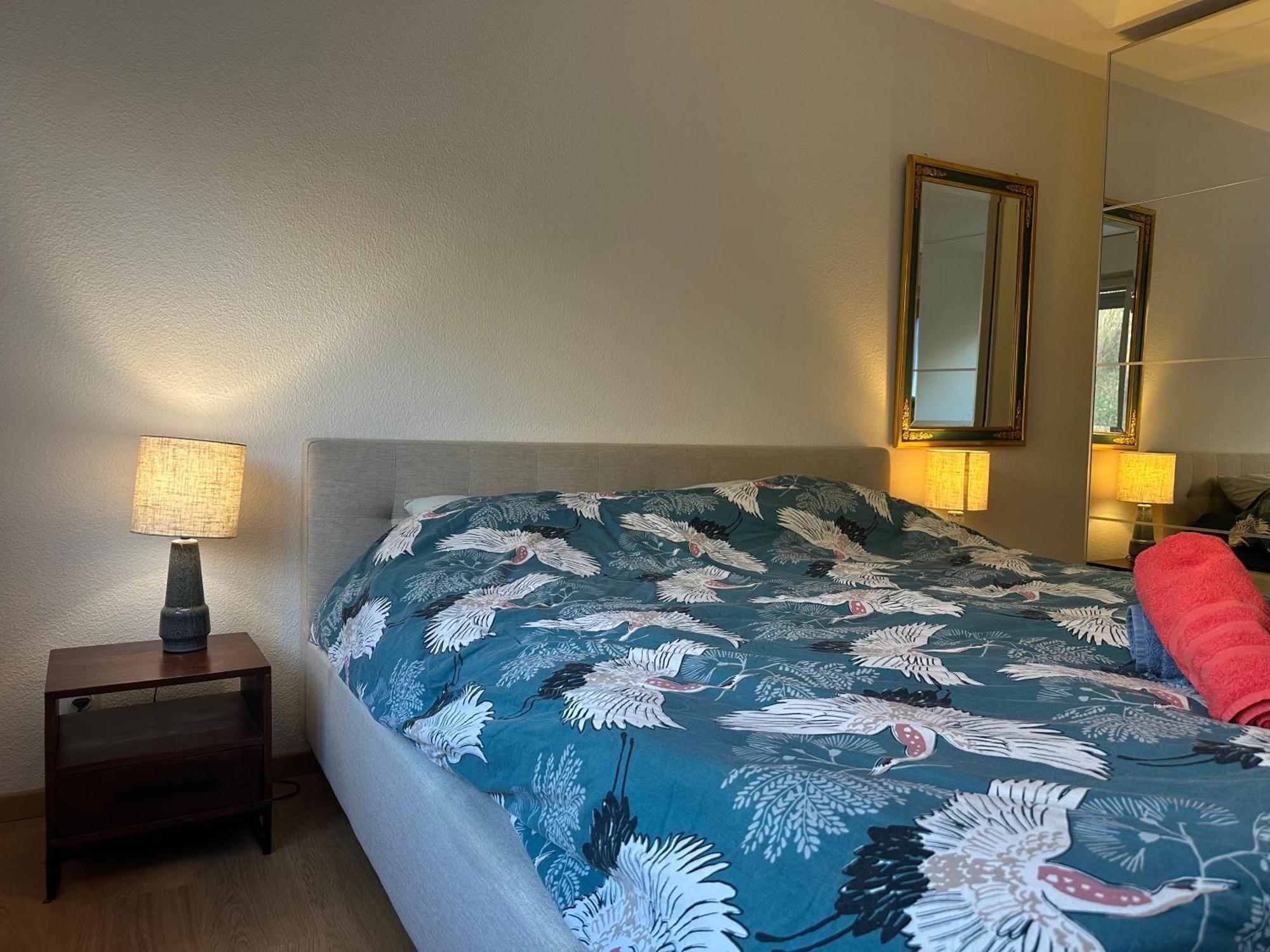 Lovely Room, 15 Min From Center, Mountain View 苏黎世 外观 照片