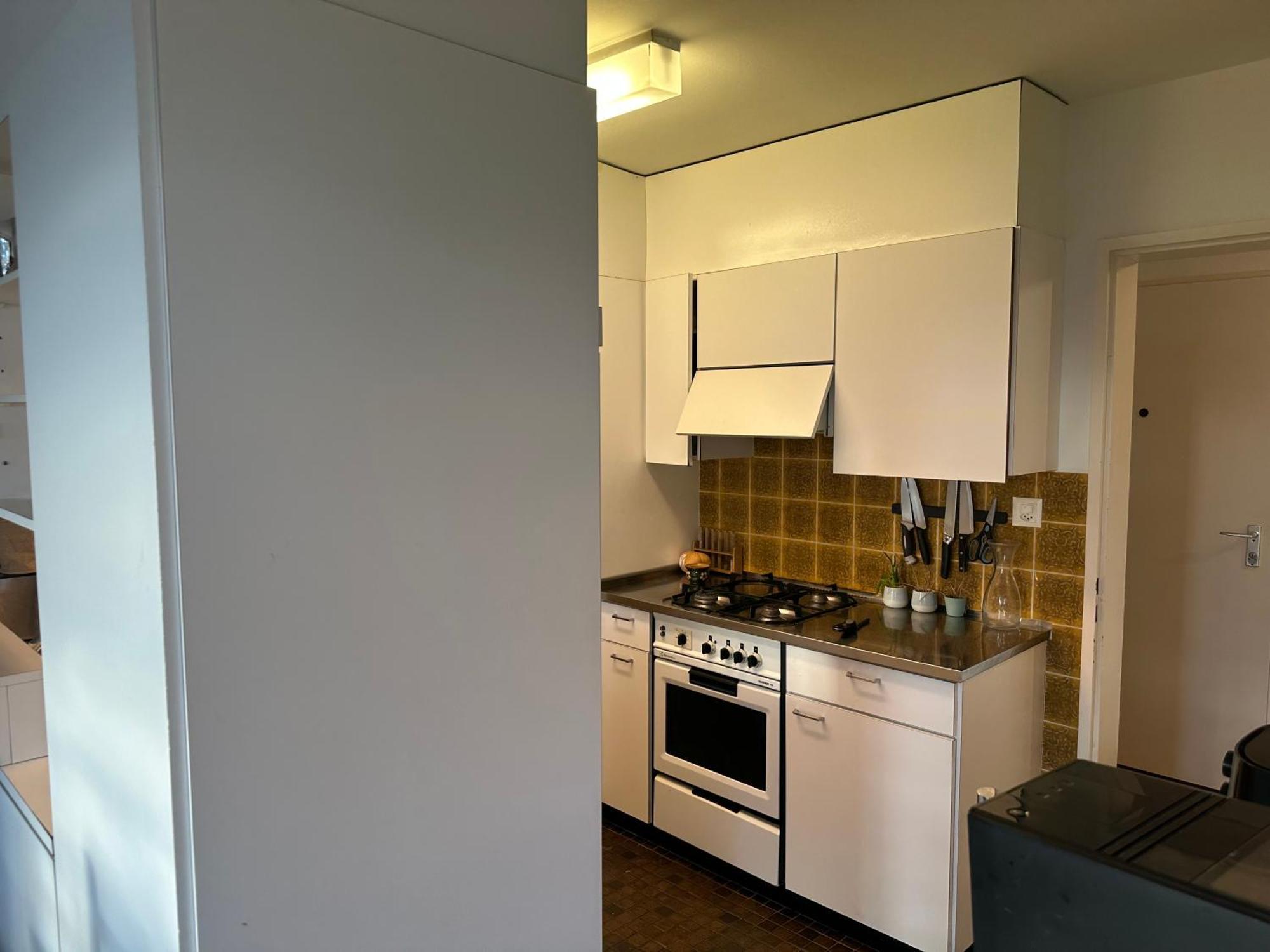 Lovely Room, 15 Min From Center, Mountain View 苏黎世 外观 照片