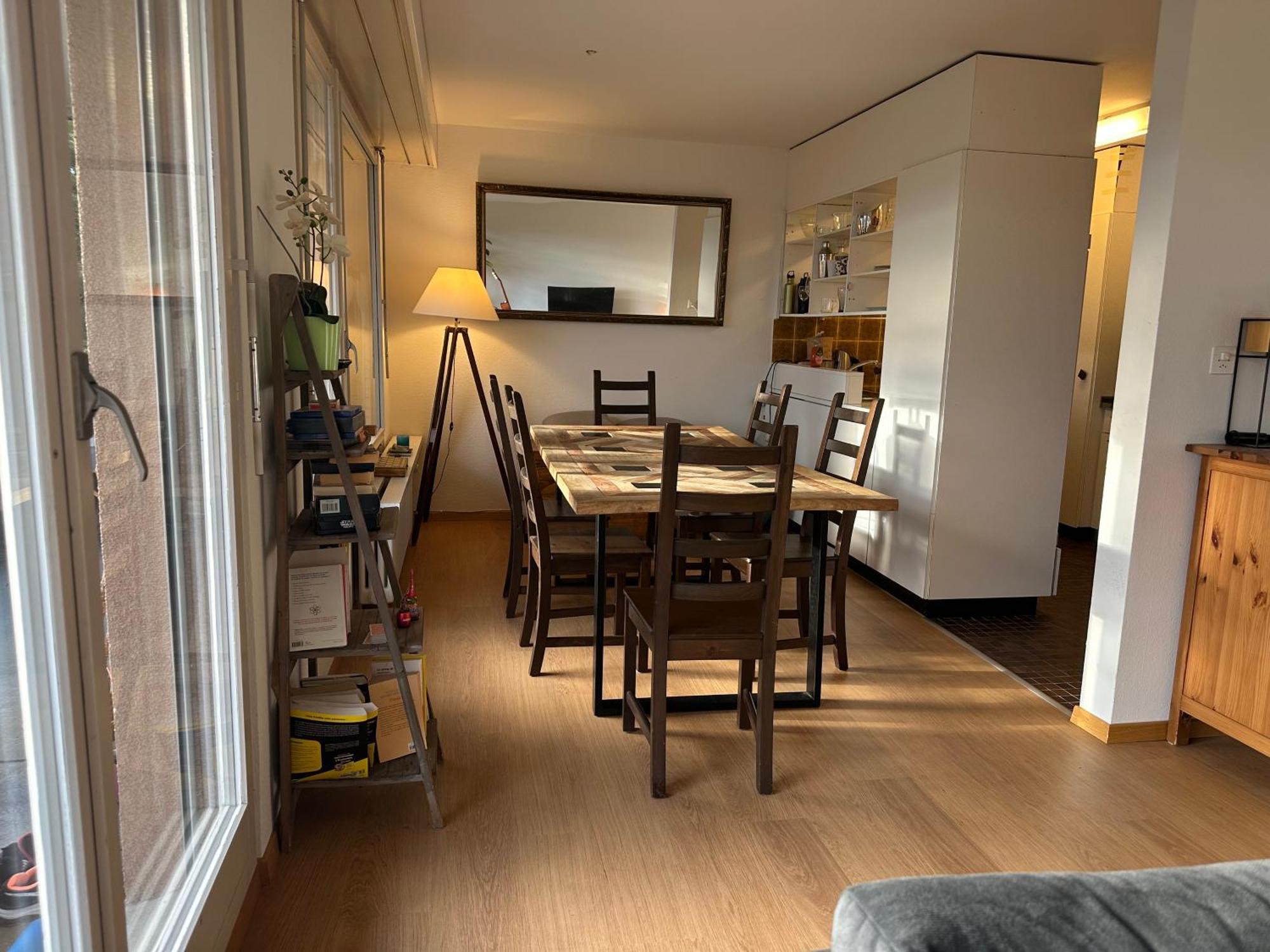 Lovely Room, 15 Min From Center, Mountain View 苏黎世 外观 照片