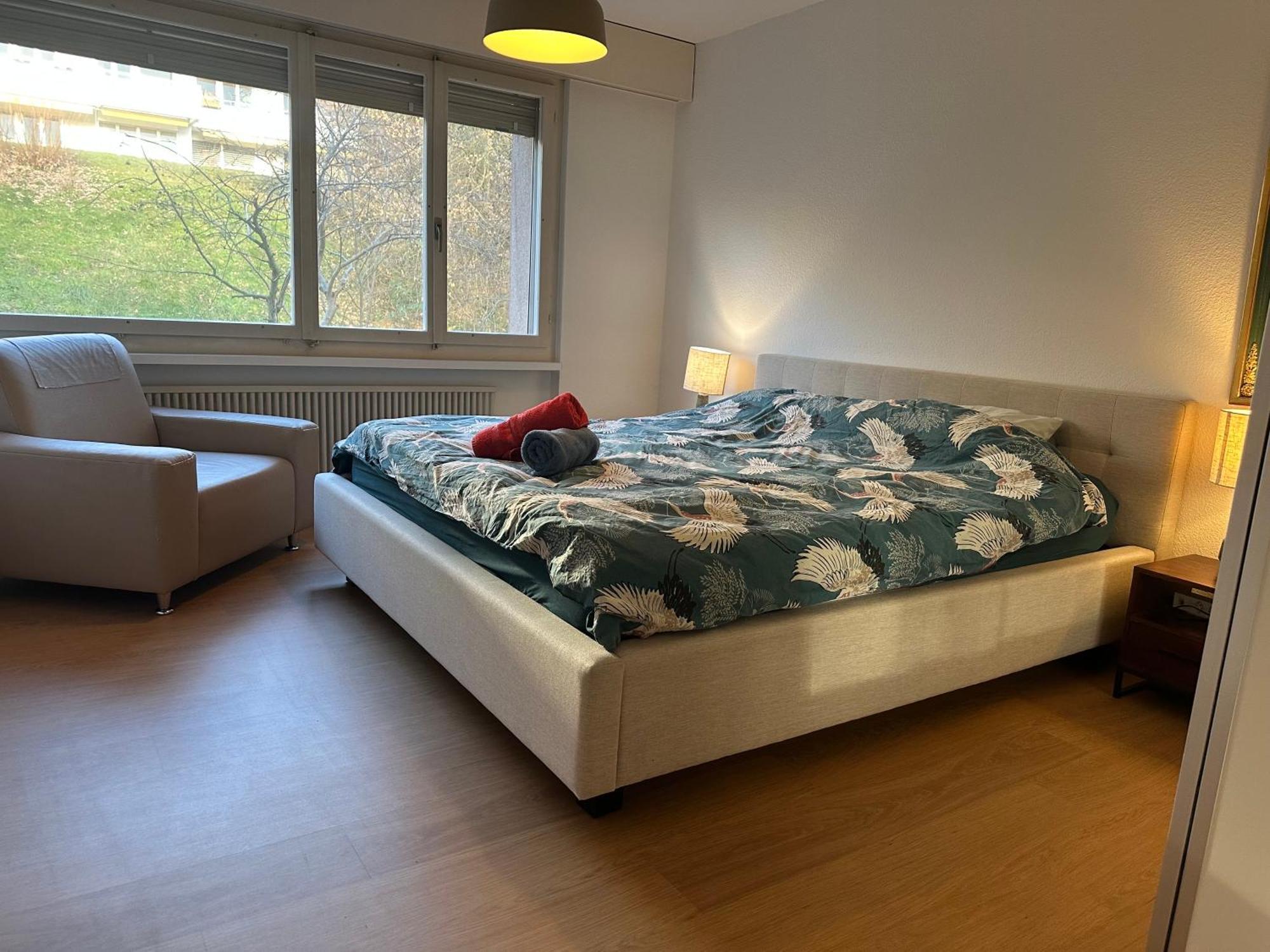 Lovely Room, 15 Min From Center, Mountain View 苏黎世 外观 照片