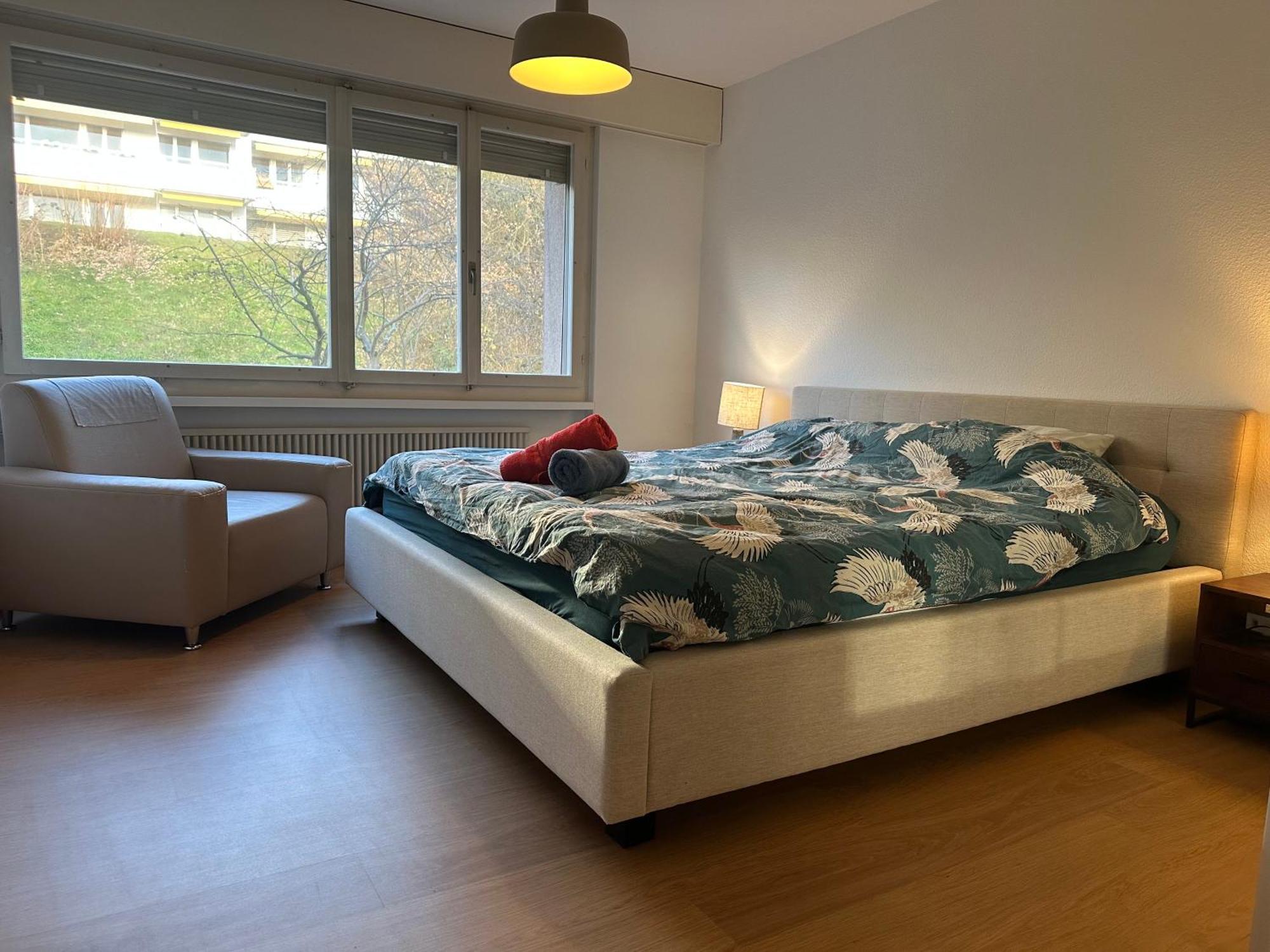 Lovely Room, 15 Min From Center, Mountain View 苏黎世 外观 照片